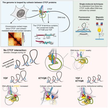 Roman Barth tweet media
