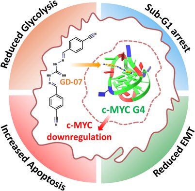 bwajtweeting's tweet photo. Happy to share another #collaboration with Prof. Vinit Kumar (Amity/Gautam Buddha Univ). We looked at small molecule binding to C-MYC #Gquad #DNA from the perspective of #NMR. More to come!
๐ฐ @chm_iiserb @iiserbhopal @ANRFIndia
@ThevoiceDeepraj
https://t.co/qXiuG6Udqz https://t.co/mfgvL5RkWN
