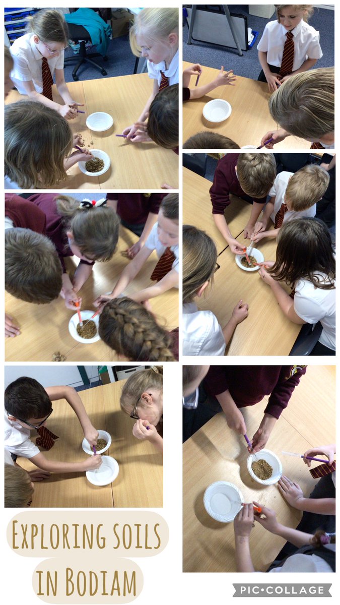 Coxheath School tweet media