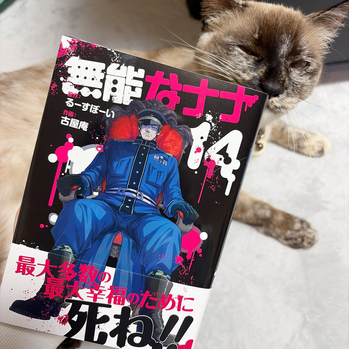 古屋庵 tweet media