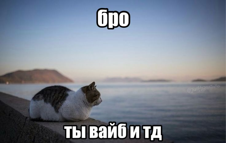 9:30 PM UTC:if you (re)al, write about it

btw thx <a href="/miketwinks/">j.mike ./</a> for such interactive, (re)al love 💜