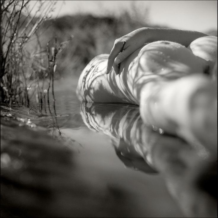 Gracielou tweet media