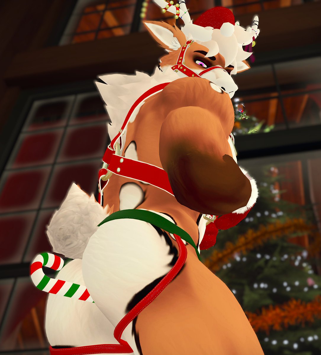 Zu 🇵🇷🔜 DenFur 2026 tweet media