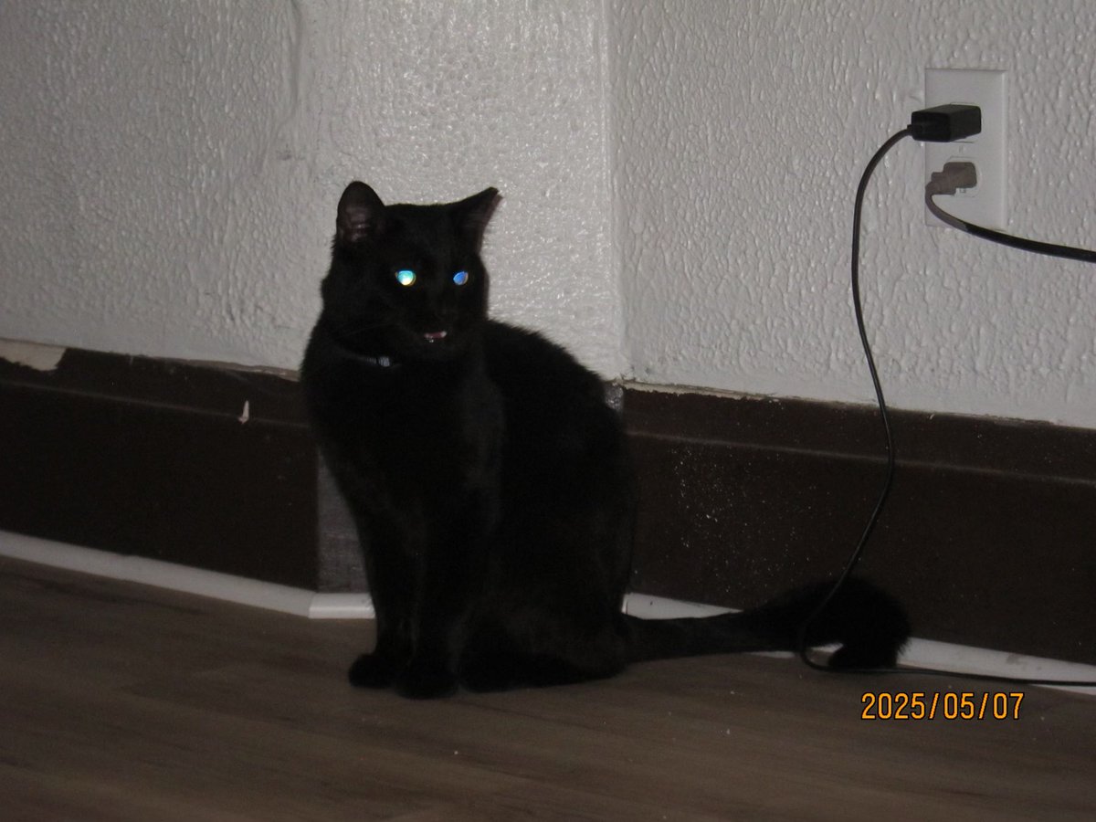 rory 𝜗𝜚 ⋆˚｡⋆ tweet media