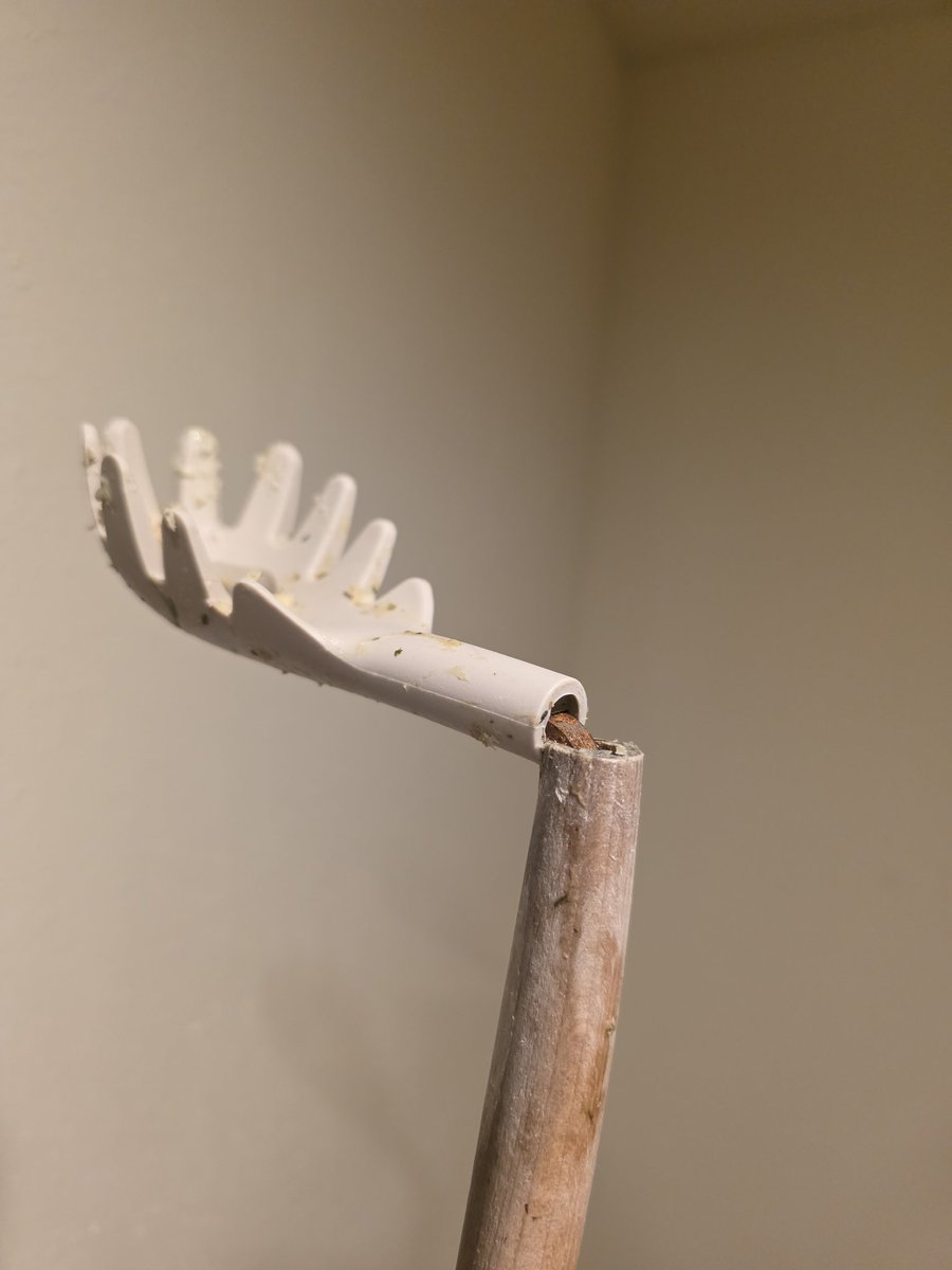 Tama Vladar ✨ StellarHeartz tweet media