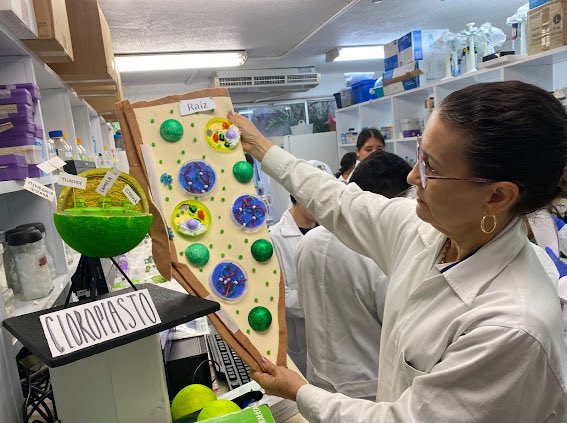 Nuestro programa Raíces Científicas llegó al <a href="/CICYoficial/">CICY</a> para una jornada llena de descubrimientos asombrosos. 
Las y los estudiantes realizaron prácticas de colecta de raíces para aprender el proceso de extracción de clorofila y se adentraron al mundo de la célula vegetal.