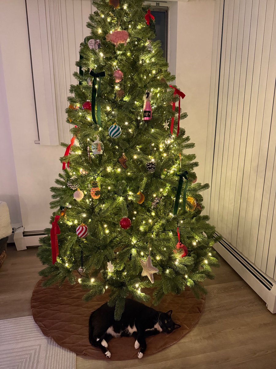 Gabriel Lewis 🦆 tweet media