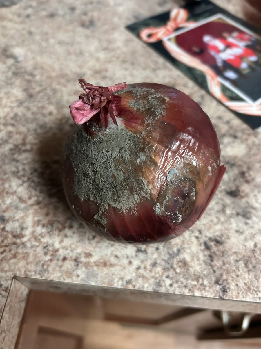 🦇✨💕 tweet media