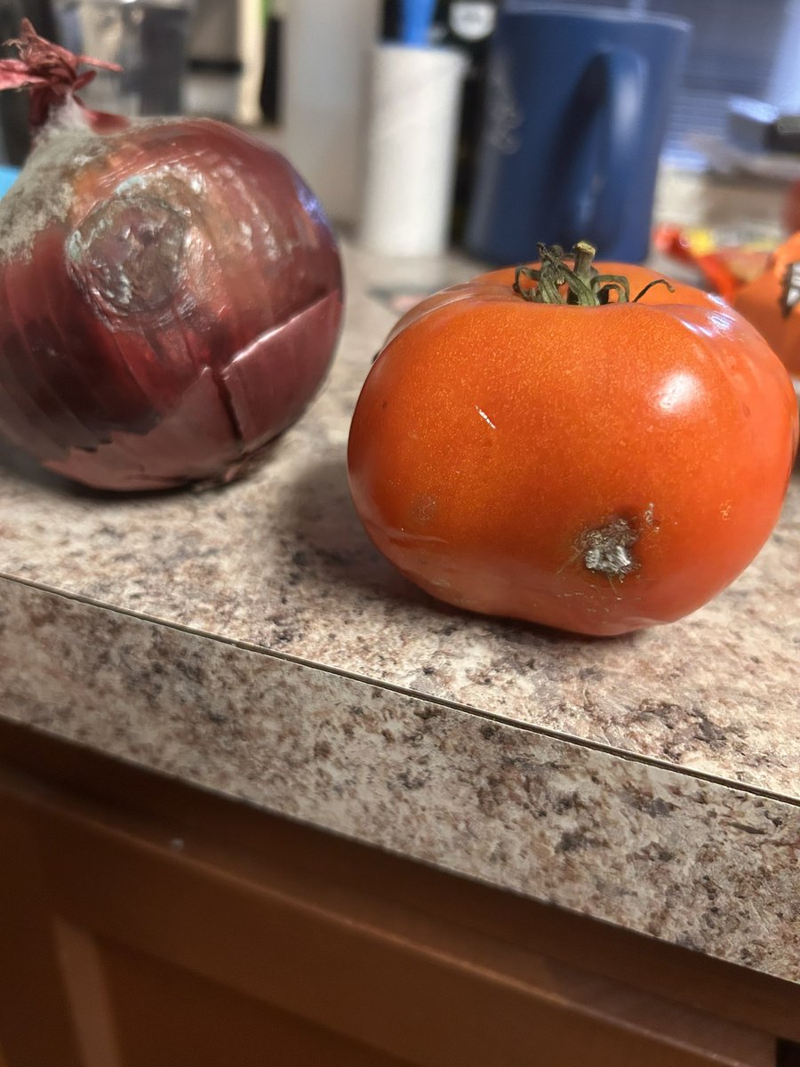 🦇✨💕 tweet media