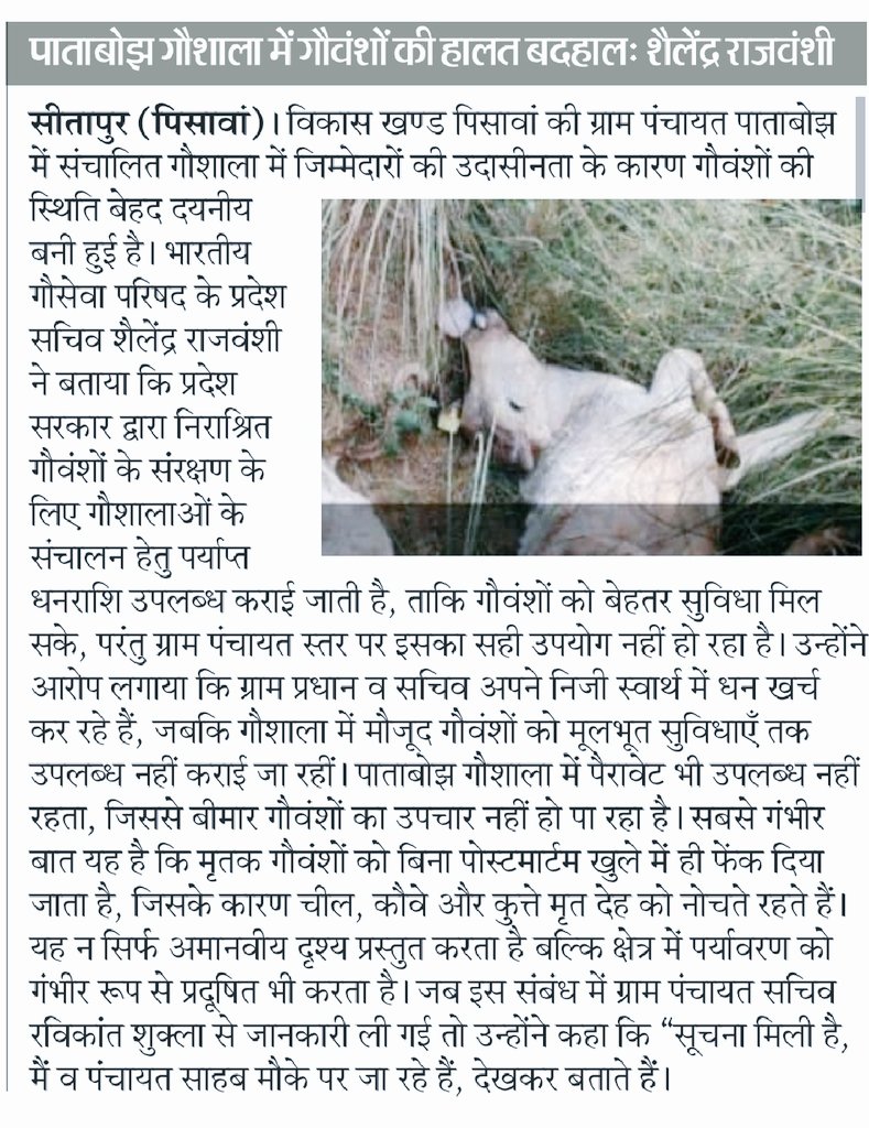 पाताबोझ गौशाला में गौवंशो की हालत बदहाल-शैलेंद्र राजवंशी
मृतक गौवंशो को बिना निस्तारण खुले में जा रहा फेका
गौशाला में गौवंशो के लिए आने वाले धन का प्रधान,सचिव कर रहे बंदरबांट
<a href="/dm_sitapur/">DM Sitapur</a> <a href="/CdoSitapur/">CDO Sitapur</a> <a href="/myogiadityanath/">Yogi Adityanath</a> <a href="/kpmaurya1/">Keshav Prasad Maurya</a> <a href="/oprajbhar/">Om Prakash Rajbhar</a>  <a href="/BdoPisawan/">BDO Pisawan</a> <a href="/UPGovt/">Government of UP</a> <a href="/uppanchayatiraj/">Panchayati Raj Department, GoUP</a>