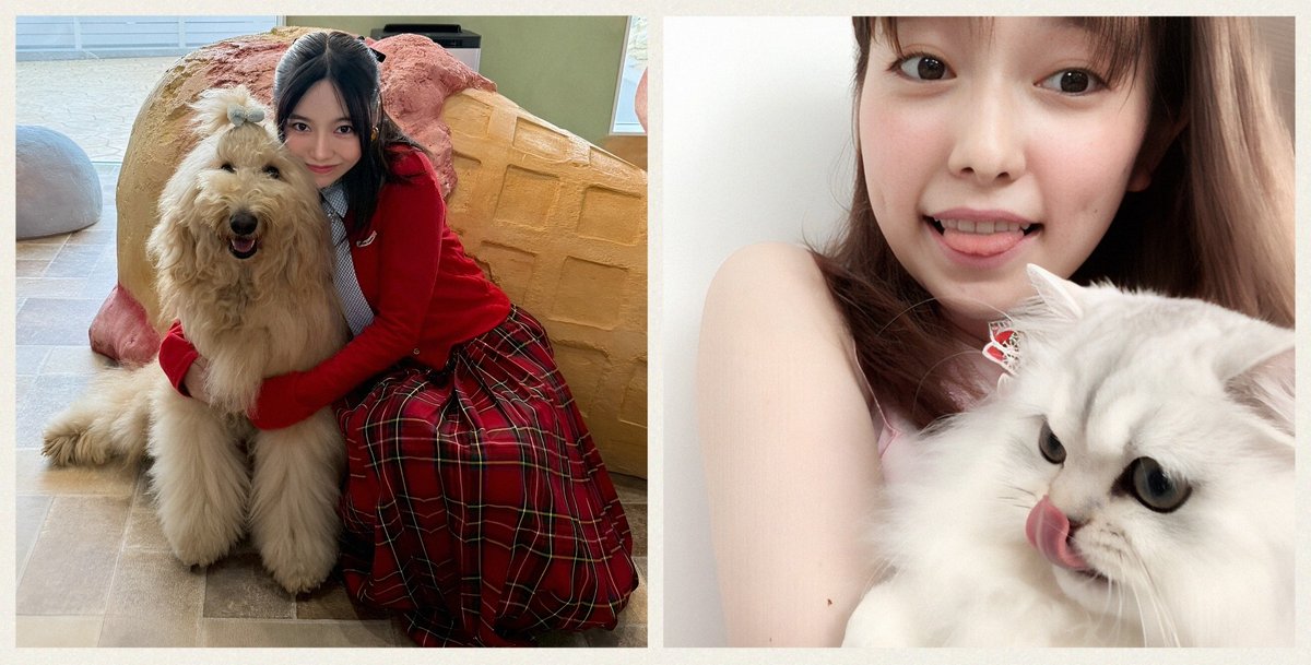 ぱるる