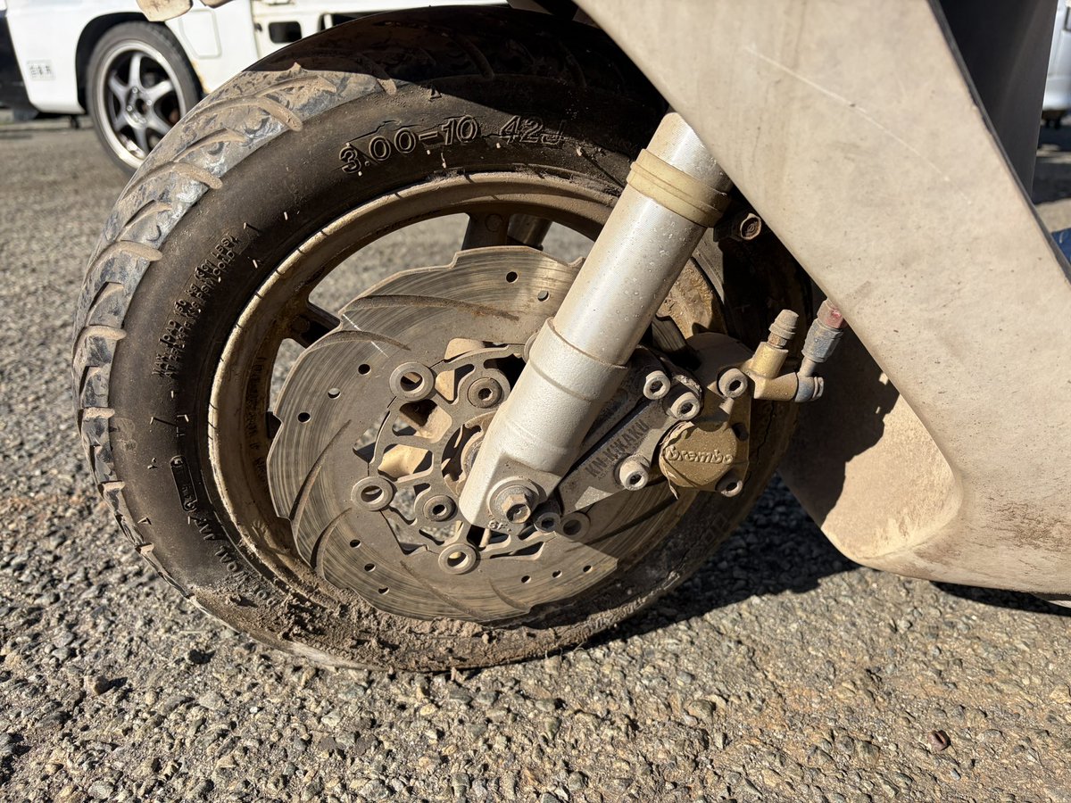 なんかZX貰った🙋🏻‍♀️ ありがとうございます！