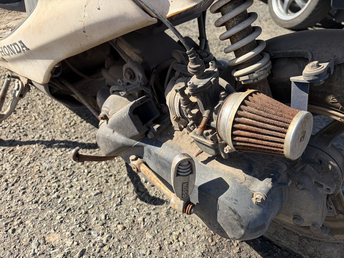 小林ページ なんかZX貰った🙋🏻‍♀️ ありがとうございます！