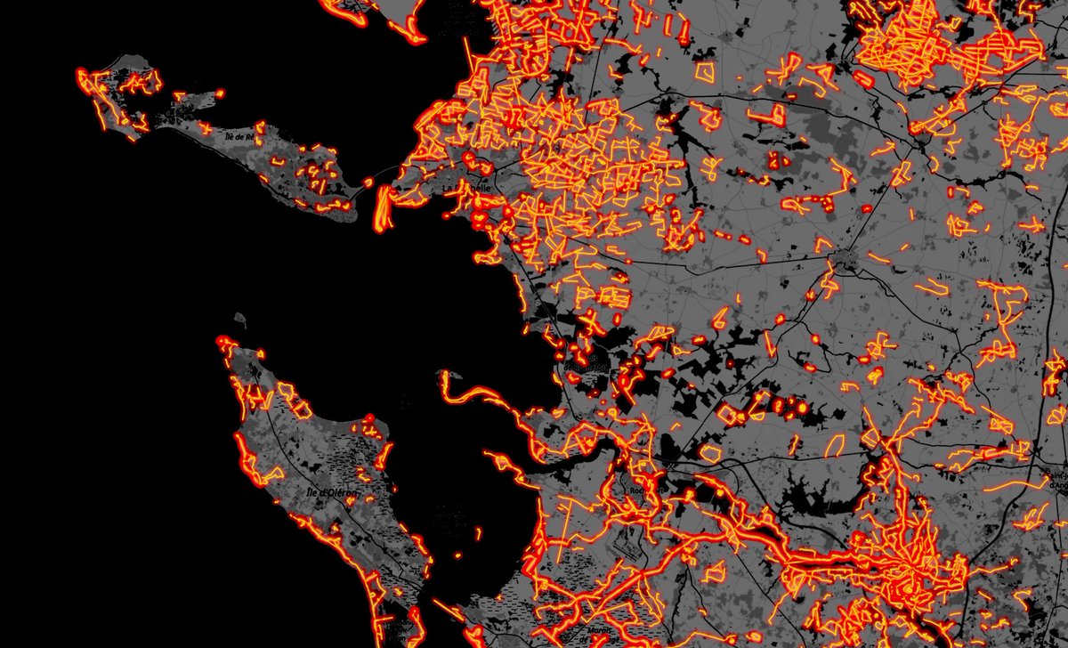 750,000 observation lists with GPS tracks!
Huge thanks to all contributors for mapping biodiversity across Europe with such precision and passion. Every line tells a story. Want to help even more? Activate the GPS track when recording your lists!