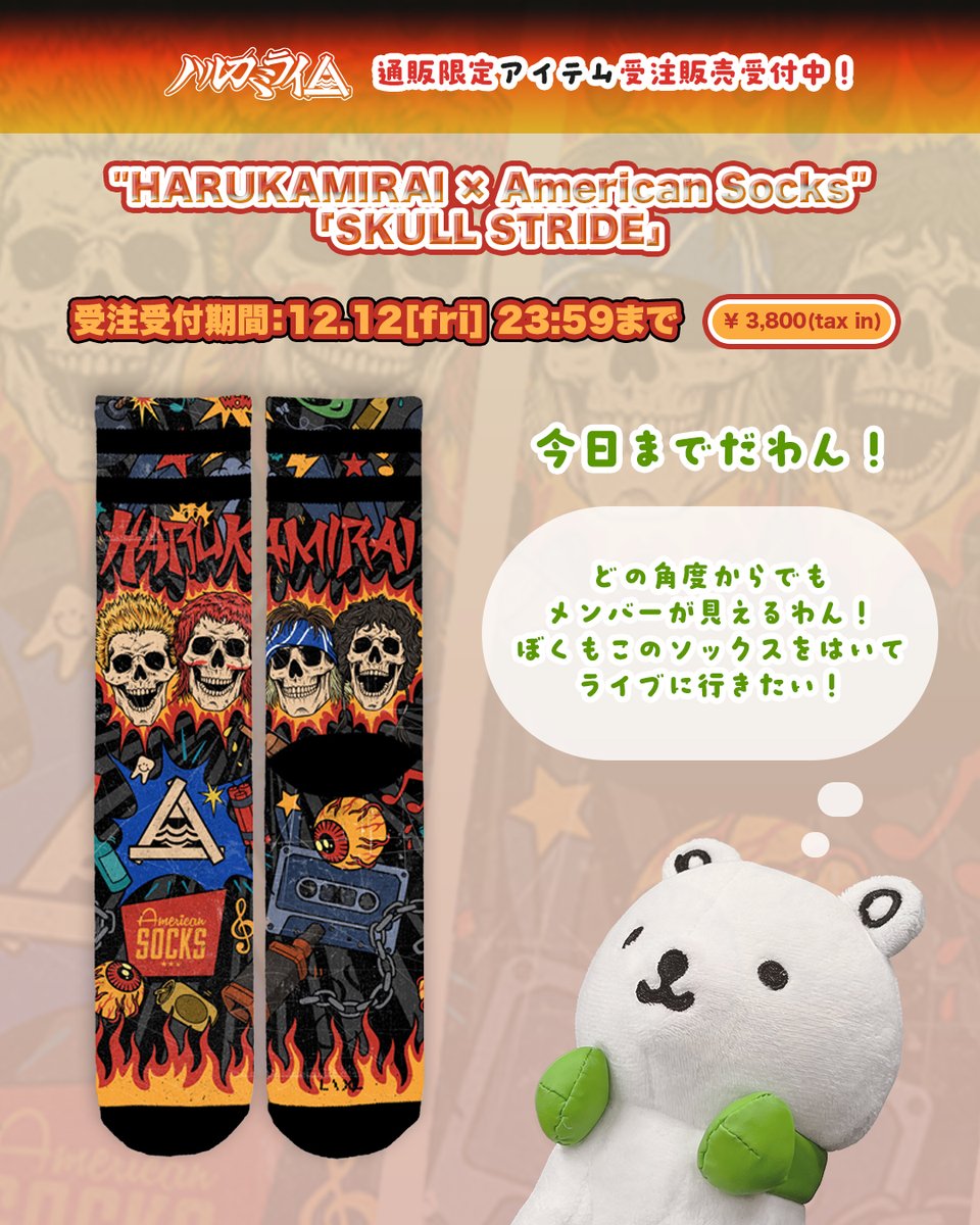 🐶＜ハルカミライの受注販売受付中だわん！本日締め切り