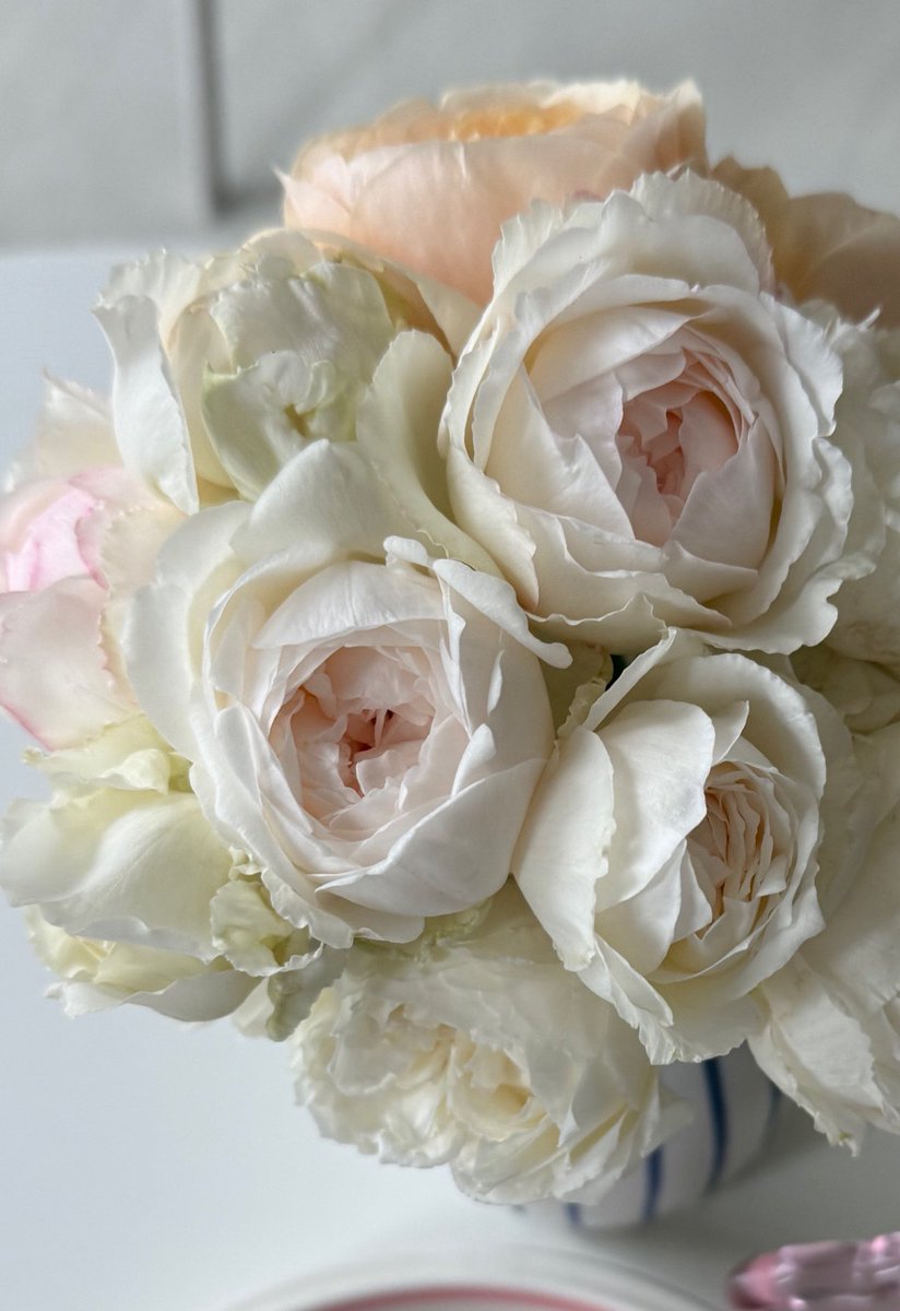 포모사이트𓊆ྀི ＫＲ.ＦＯＭＯ.ＩＯ𓊇ྀིBaccarat.ita