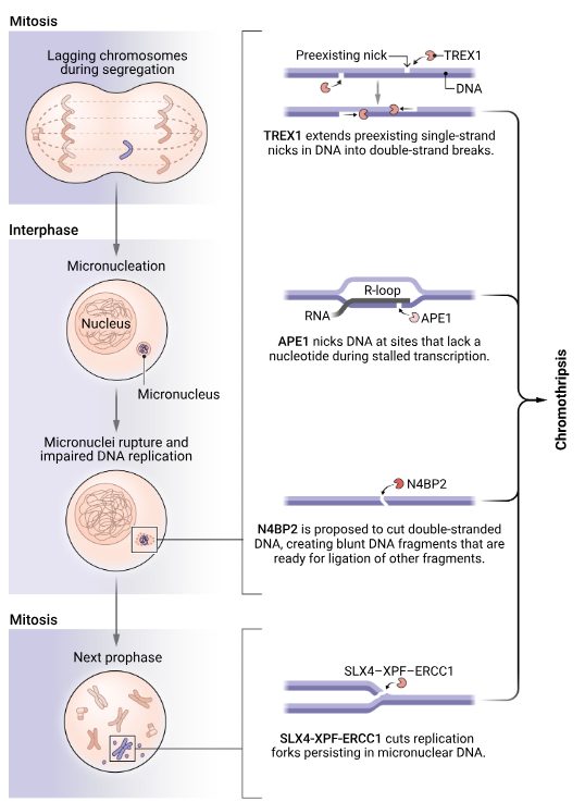 Waggoner Lab tweet media