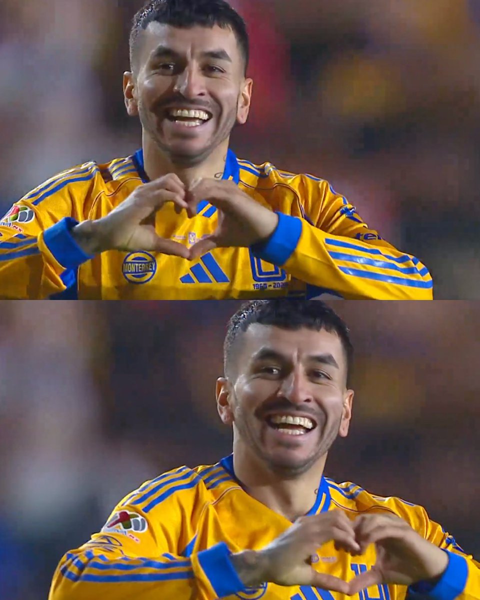 InvictosSomos's tweet photo. Ángel Correa acaba de alcanzar los ¡¡15 GOLES OFICIALES!! con la camiseta Tigres. Solo necesitó 26 partidos para lograrlo. Y ya marcó en semifinales y final de Liga MX. A esto, señoras y señores, se le llama un FICHAJAZO TOTAL.