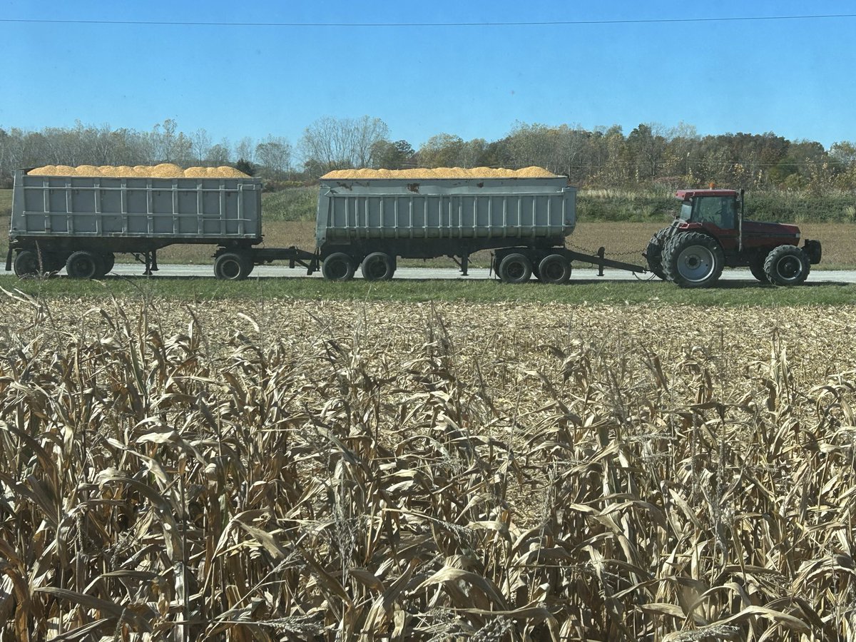 Dennis Driedger tweet media