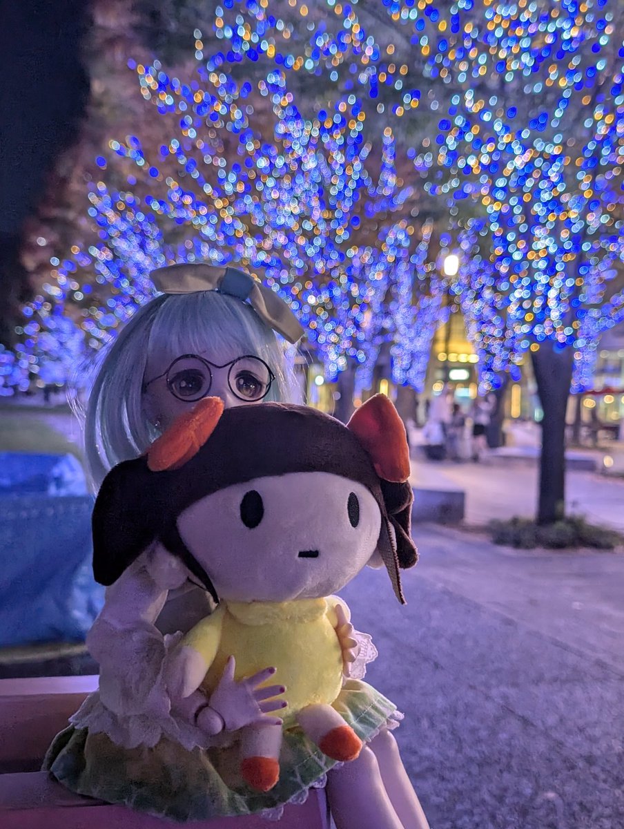 持ち主さん見付かって欲しいです.ᐟ.ᐟᐢ ܸ. ̫ .ܸ ᐢ