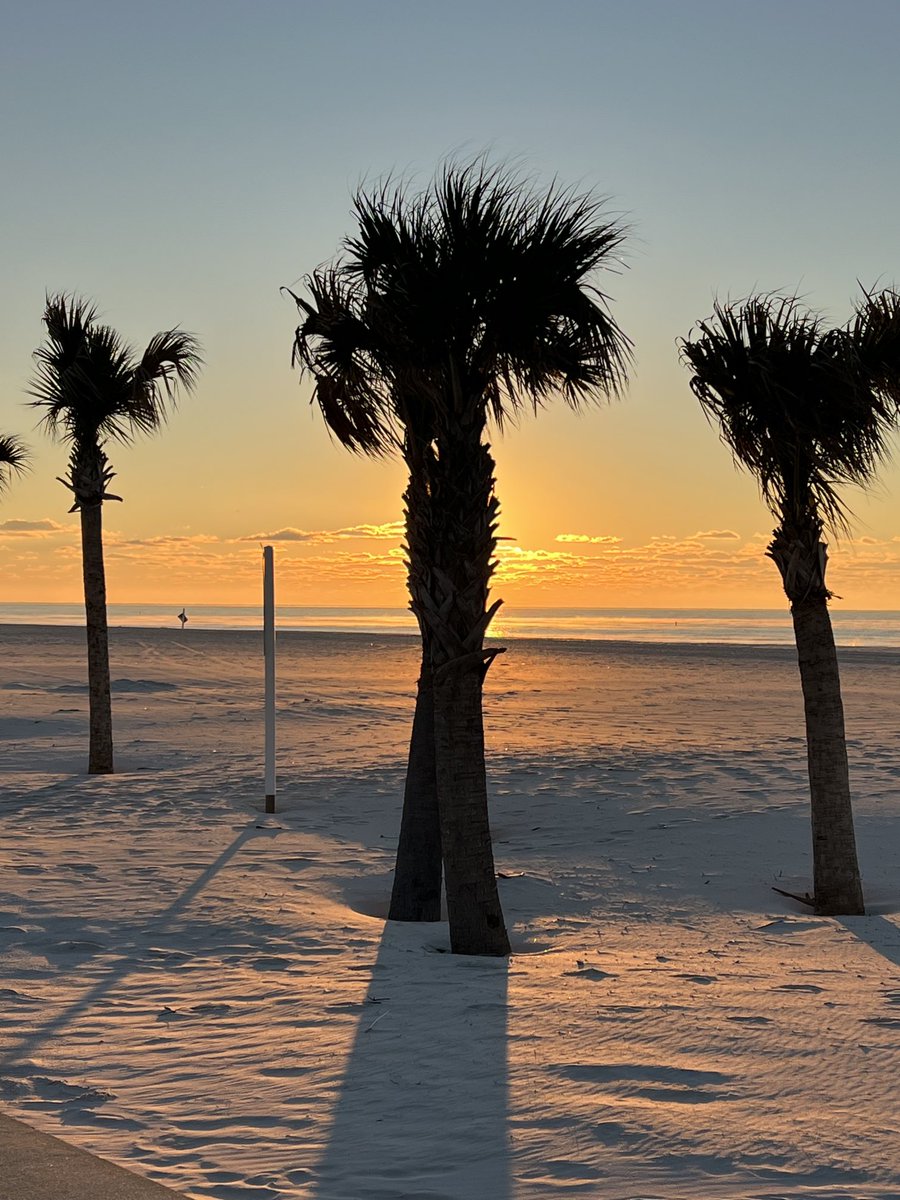 WonderdogHenry's tweet photo. I think dad wants to stay here! White sandy beaches are much better than snow!😝 According to dad anyway! It’s been good to get away to recharge and refresh…you don’t realize how much you’re going until you stop.🐾#goldenretriever #therapyk9 #vacation #whitesand https://t.co/ORzYEwEUP4