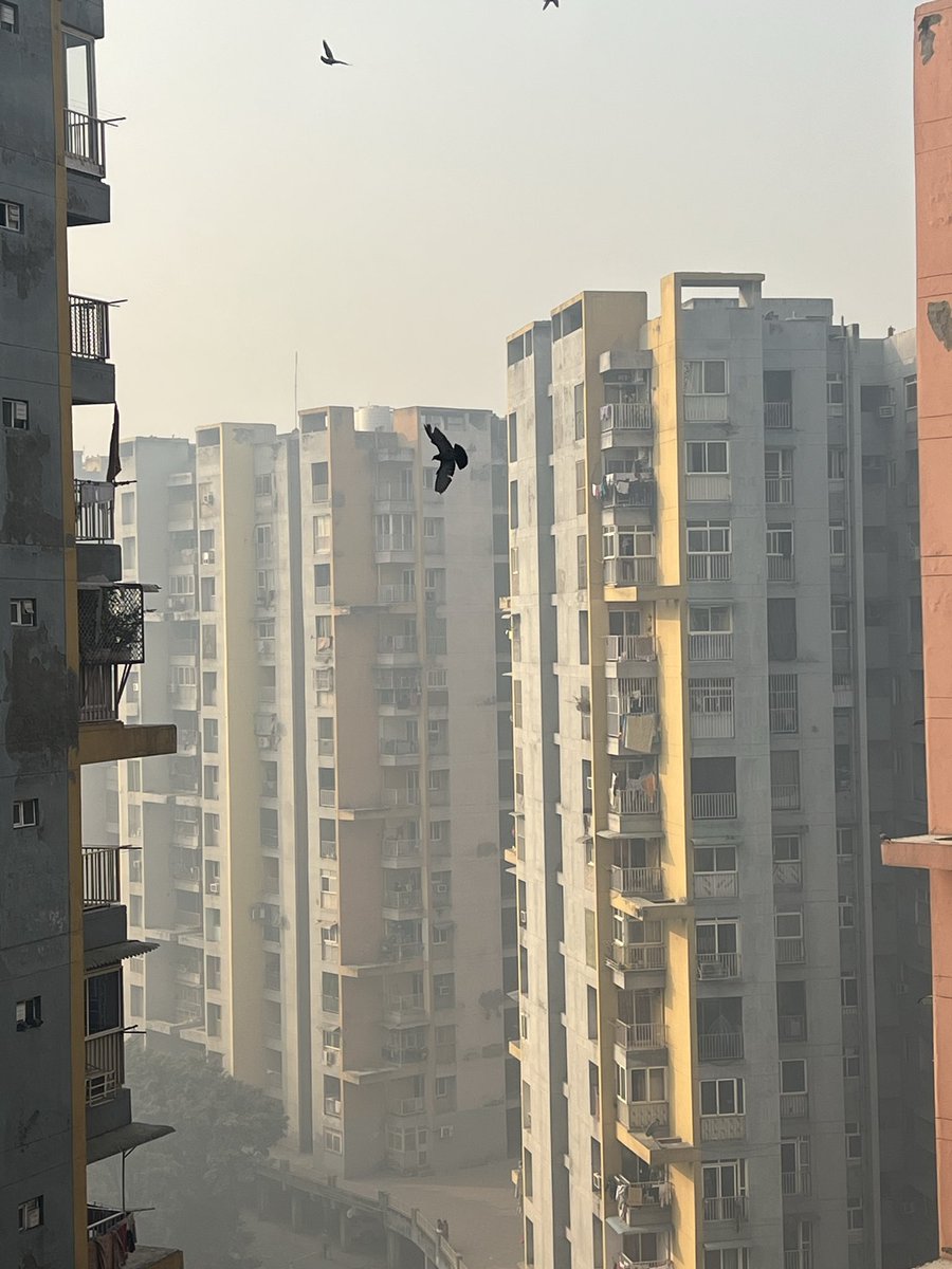 Residents of Bharat City Pin code 201003 are suffering due to ongoing illegal burning and hazardous pollution. Complaints seem to be ignored by administration. Requesting urgent action from <a href="/dmgbnagar/">DM NOIDA Gautam Buddha Nagar</a> @UPPCB <a href="/noidapolice/">POLICE COMMISSIONERATE GAUTAM BUDDH NAGAR</a> <a href="/CPCB_OFFICIAL/">Central Pollution Control Board</a> <a href="/Uppolice/">UP POLICE</a>. Public health is at risk.
