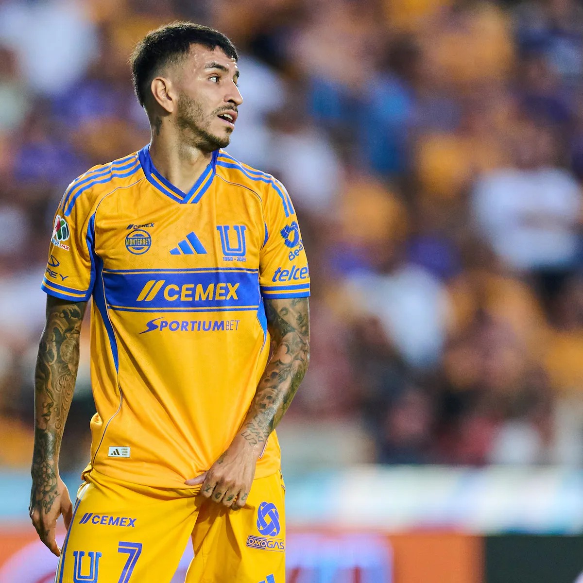 Qué jugador es Ángel Correa.

Perfectamente podría estar jugando en cualquier Club de segunda linea en la élite europea y está aquí en Tigres.

Hartas gracias a los felinos por traer un jugador de este nivel a la Liga MX.

Qué deleite es verle jugar.