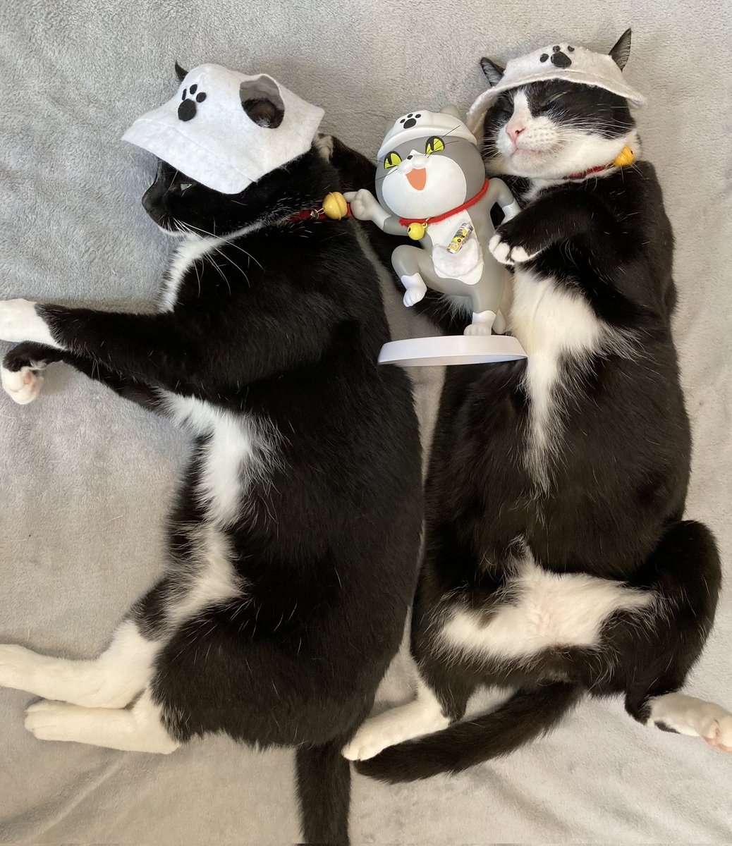 オニャンコポン🐈‍⬛ (@anotokinoneko22) / Posts / X