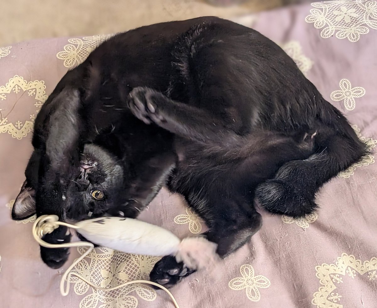 ゆき🜸用心棒 (@__Y__U__K__I__) / Posts / X