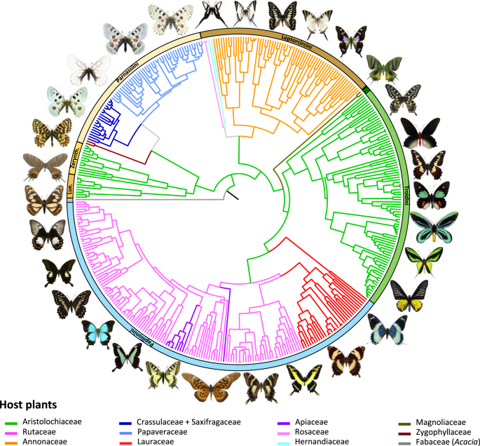 James Albert 🐟 🇺🇦 tweet media