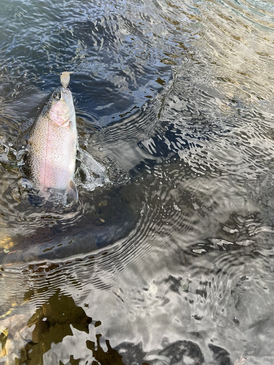 よったん (@yottanntann) / Posts / X