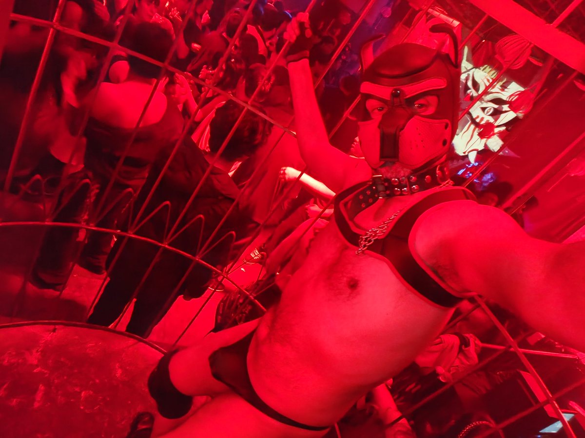 Thiago Slave tweet media