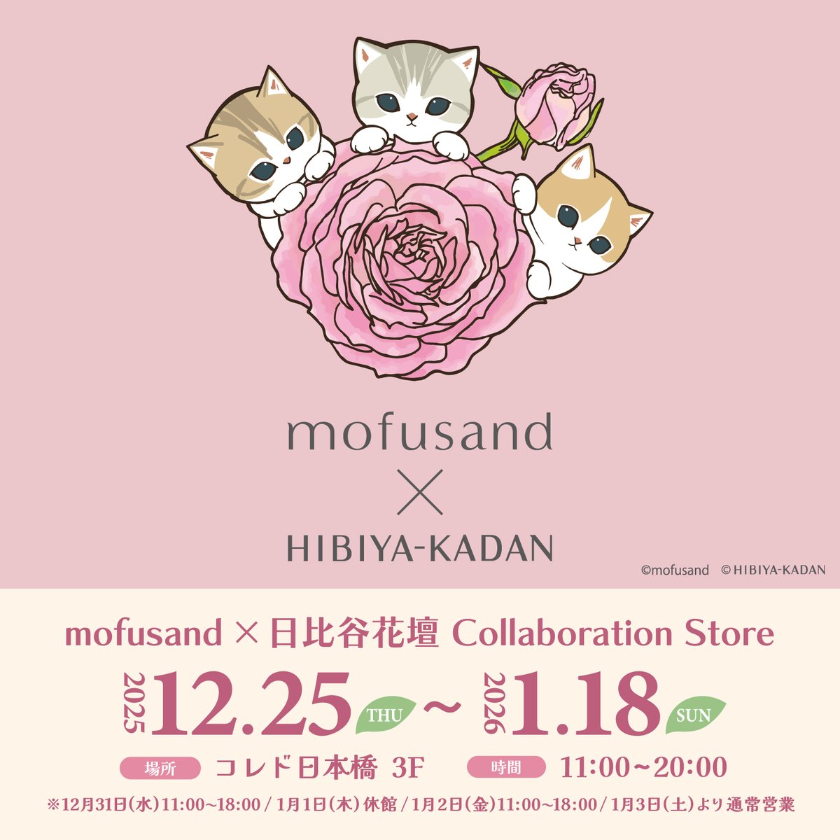 mofusand_goods_'s tweet photo. 🌟コラボ🌟

「mofusand」と「日比谷花壇」が初のコラボ！12/25(木)よりコレド日本橋にて期間限定ショップを開催！

フローリストが描く「花屋さんのお花柄」とキュートなにゃんこが出会う新シリーズ🌸

🔻詳細はこちら
https://t.co/IyMCariG6R

#モフサンド　＃mofusand https://t.co/T6G2HXlxQ4