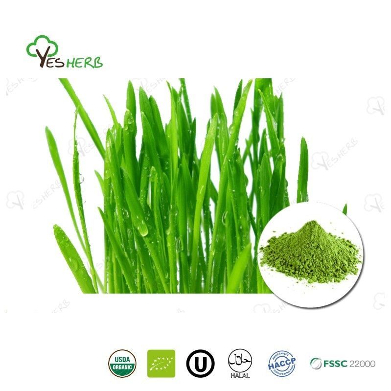 AnYuensun's tweet image. Lifewe Wheat Grass Powder is partly water-soluble and rich in nutrients. Perfect for food supplements, smoothies, superfood mixes, and health products. Add natural wellness to your recipes and enjoy the benefits of wheat grass every day! #Lifewe #WheatGrassPowder
