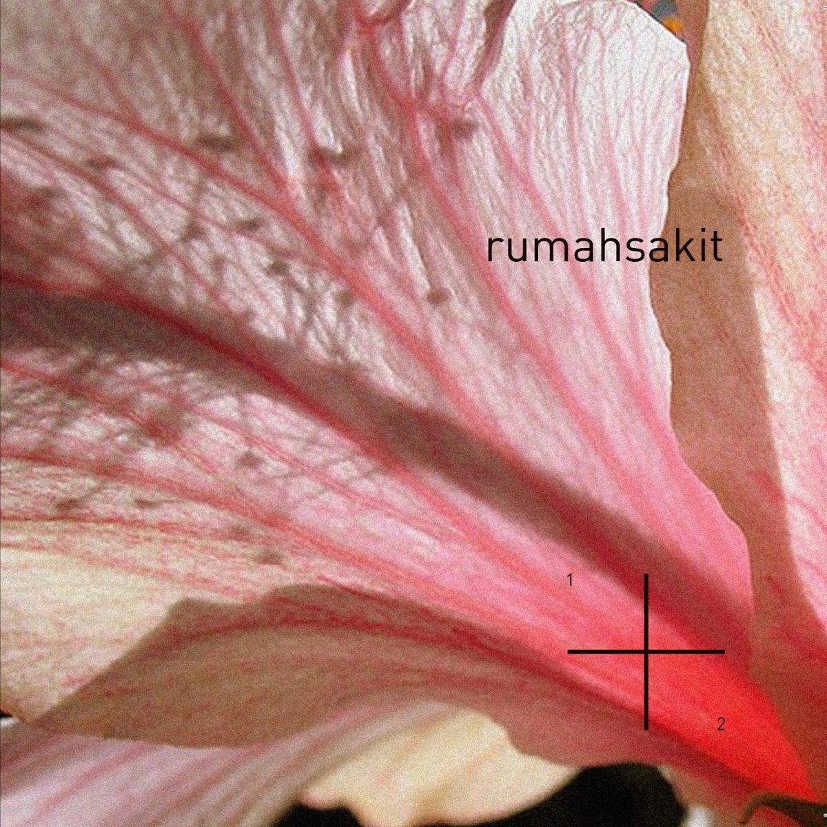 13 years ago today, rumahsakit released ‘1+2.’