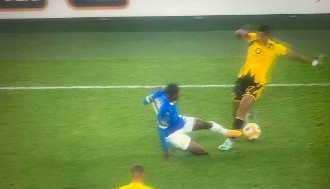 Phoenix Sire tweet media