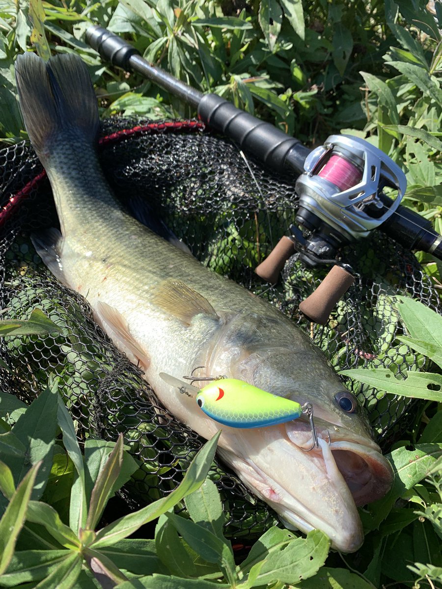 skillful【スキルフル】オカモトタクミ (@skillfullure) / Posts / X