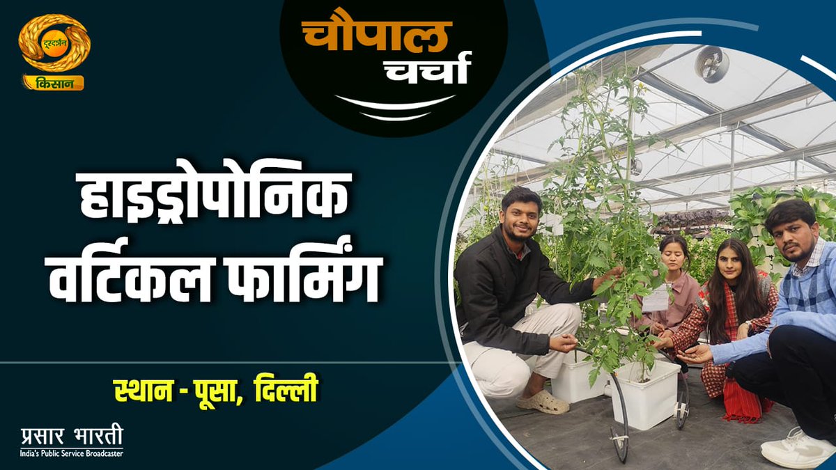 DDKisanChannel's tweet image. चौपाल चर्चा | हाइड्रोपोनिक वर्टिकल फार्मिंग | 12/12/2025

youtu.be/EpnPEiTo6fo

#organicfarming #millets #seed #khetibadi #hydroponicfarming 

@AgriGoI @ChouhanShivraj @RNK_Thakur
@PIBAgriculture @MIB_India @Agri_Exports
@icarindia @sfacindia @IFAD @SecyAgriGoI