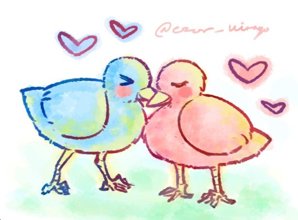 EZOR VIRAGO tweet media