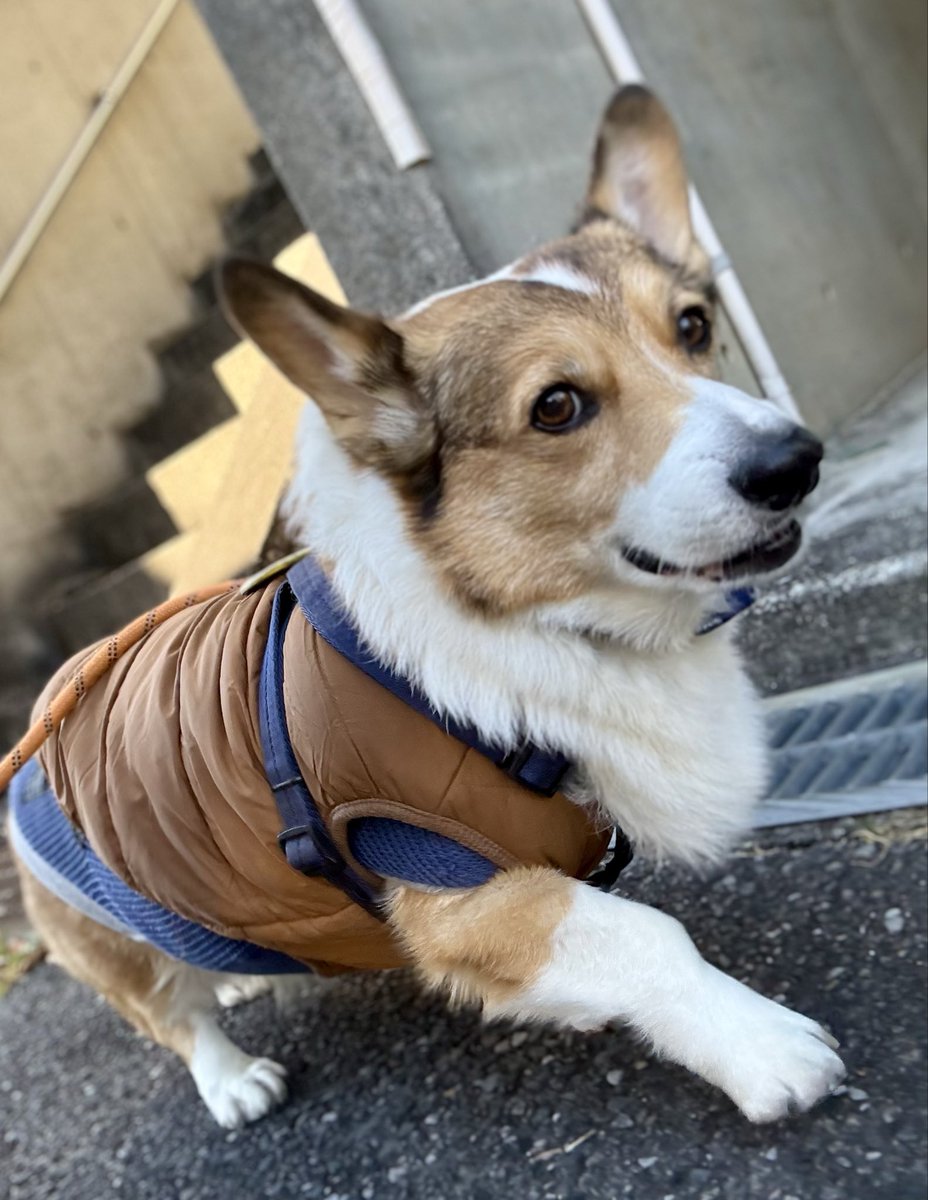 今日のお散歩🐾 お日様出てたのに、風強かった🌪️😖私はこの冬、初