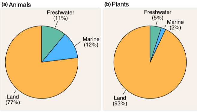 James Albert 🐟 🇺🇦 tweet media