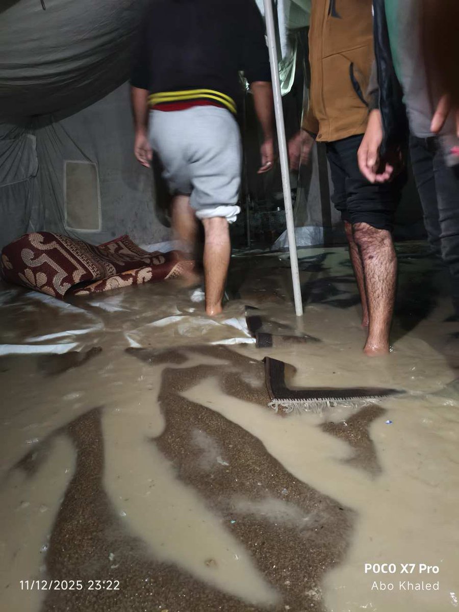 RoyalIntel_'s tweet image. Palestinian children in Gaza are sleeping in flooded tents tonight. 

Keep that in mind as you go to bed. 🇵🇸💔