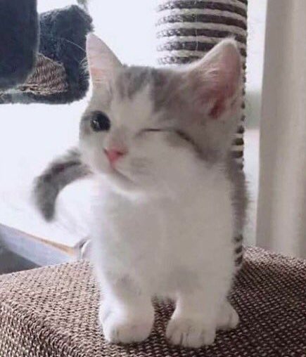 tin (@happyjaechanday) on Twitter photo 