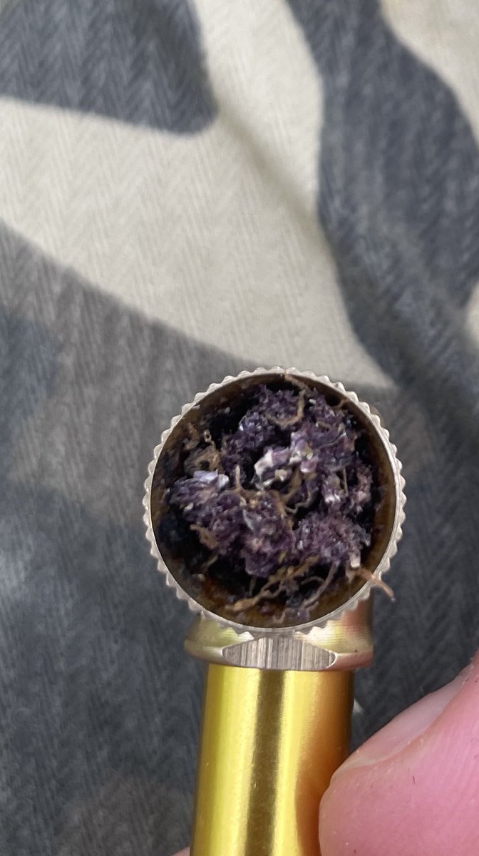 Killahguy's tweet image. Shits purple as helllllllllllll