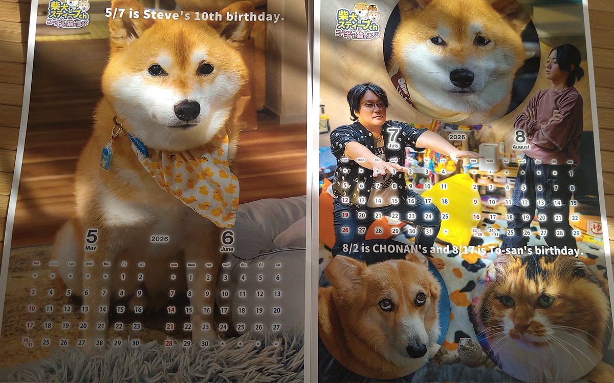 ai(自己紹介は読んで下さい) (@jwexcavd8ryjwx) / Posts / X