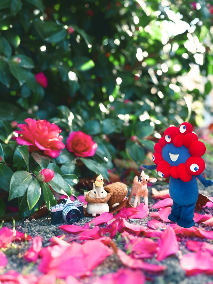 めぐ｜写真 (@TwinsMeg11) / Posts / X