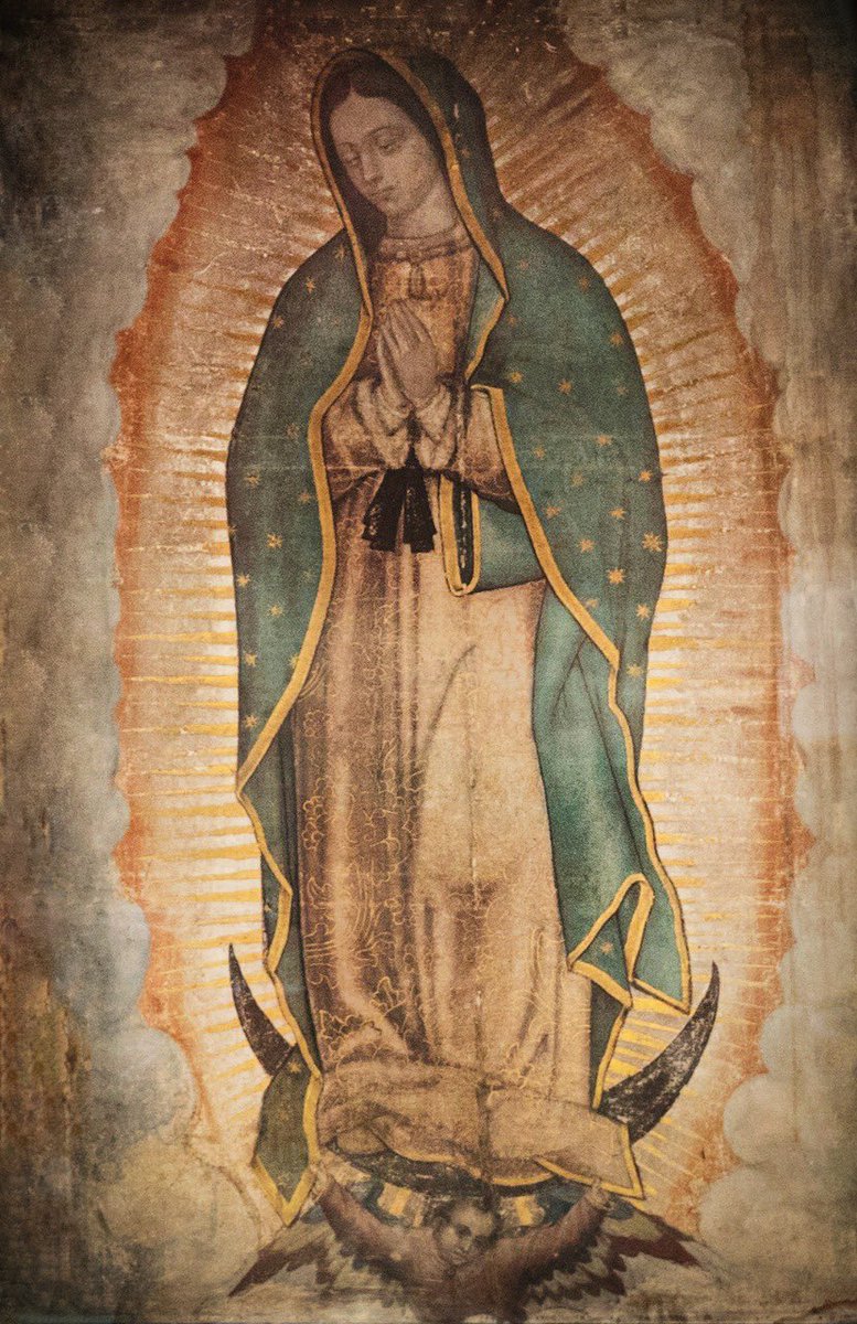 ¿No estoy yo aquí que soy tu Madre?

#virgendeGuadalupe