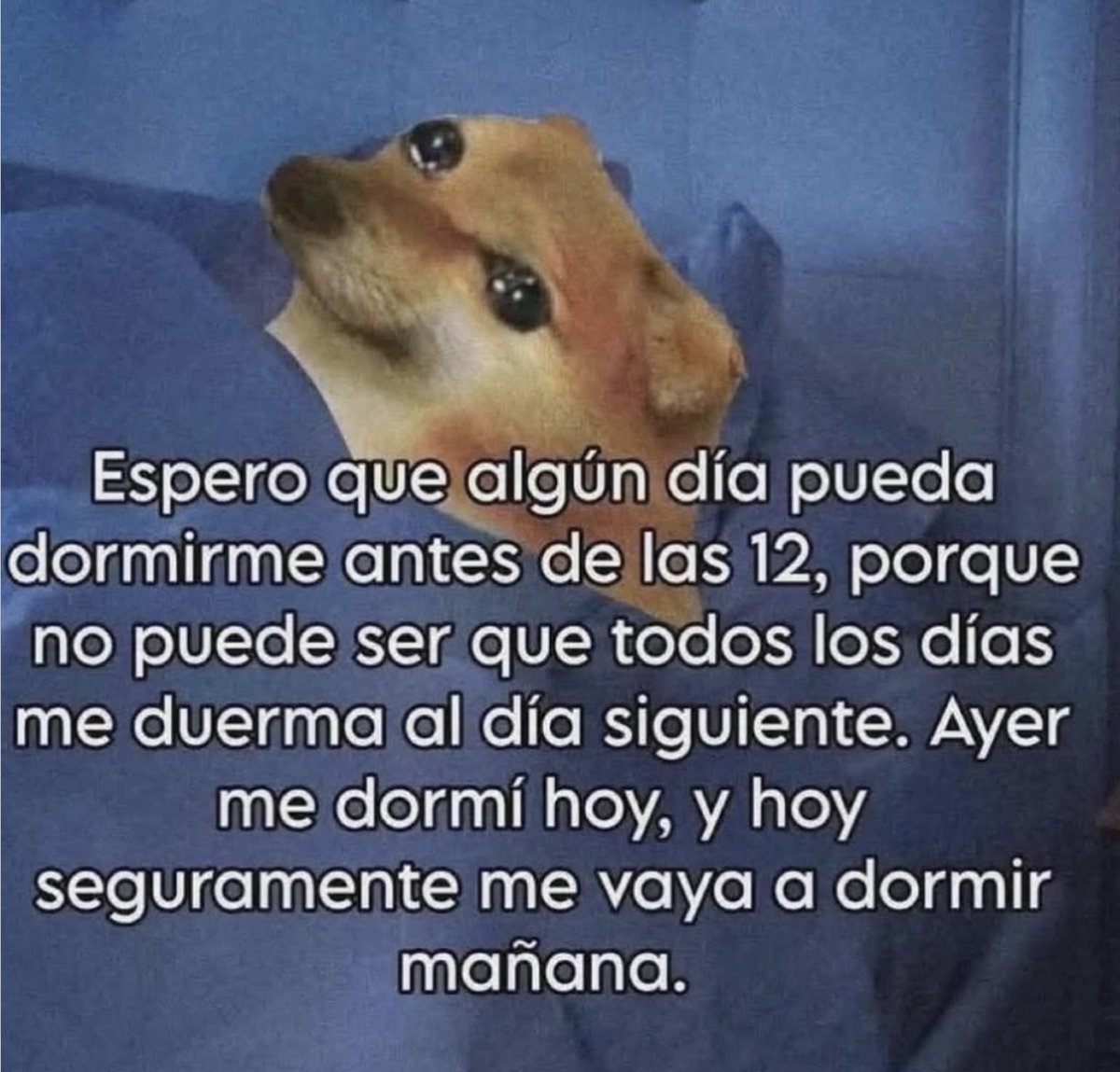 Eso espero.
