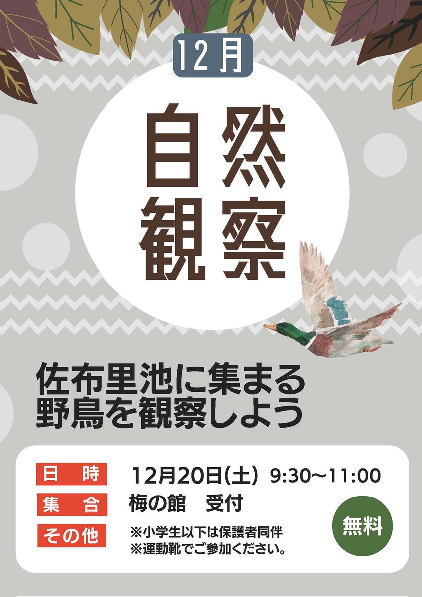 aichi_chitacity's tweet photo. 【佐布里池に集まる野鳥を観察しよう】

知多自然観察会の先生が園内を案内し、鳥の名前や特徴、見どころを丁寧に解説します。

【持ち物】
・暖かい服装、防���具
・双眼鏡（任意）
・筆記具・観察ノート（任意）

申込み・問合せ：佐布里緑と花のふれあい公園　☎0562-54-2911 https://t.co/QlI4zq9wML