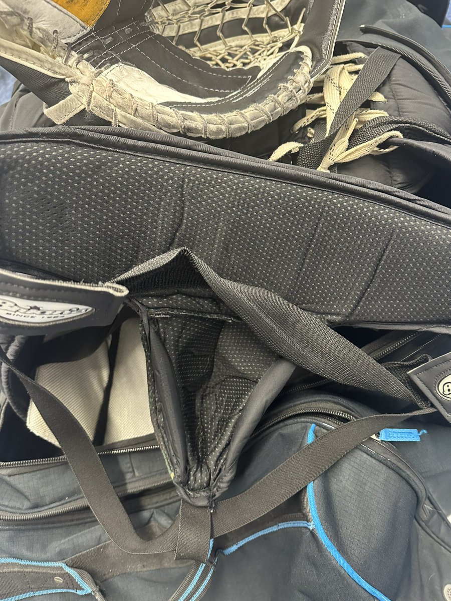 Hockey Pup - FE tweet media